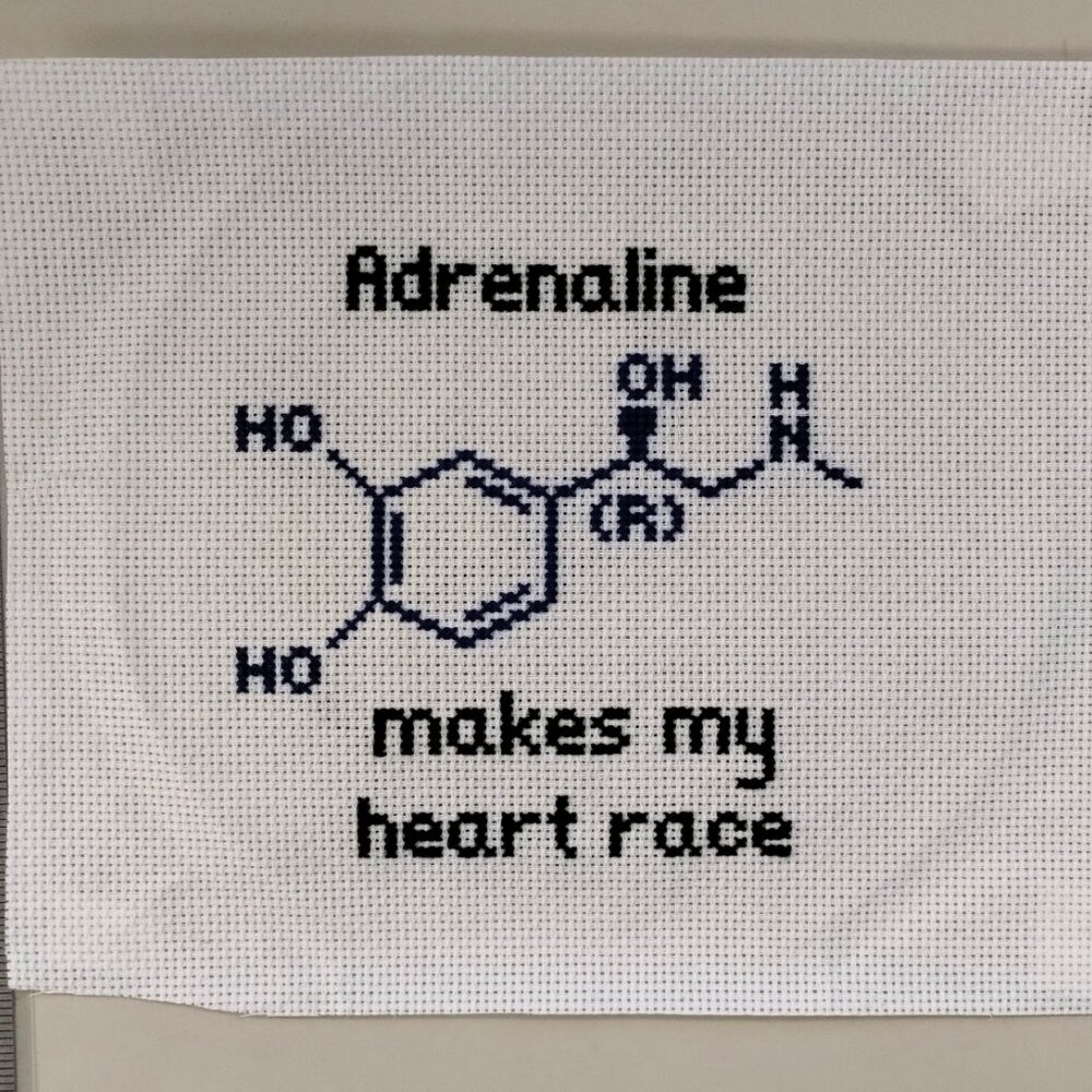 Adrenaline Makes My Heart Race /  Cross Stitch / Completed, Hand Made